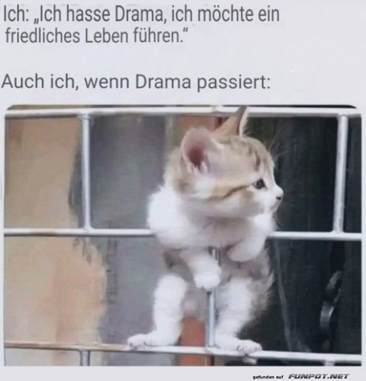 Wenn Drama passiert