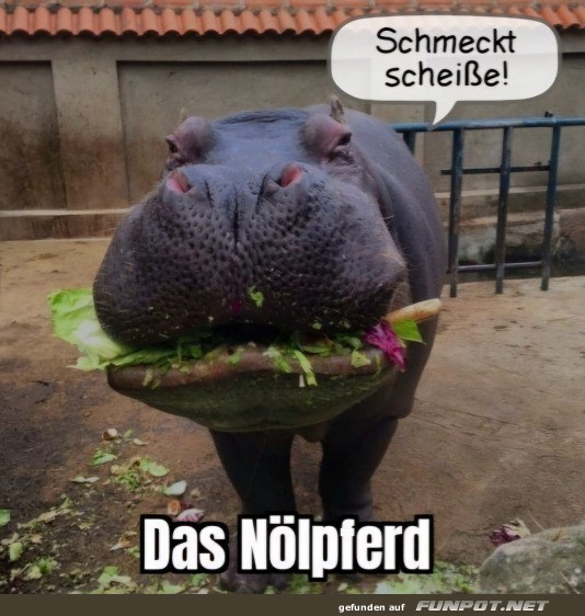 Schmeckt nicht