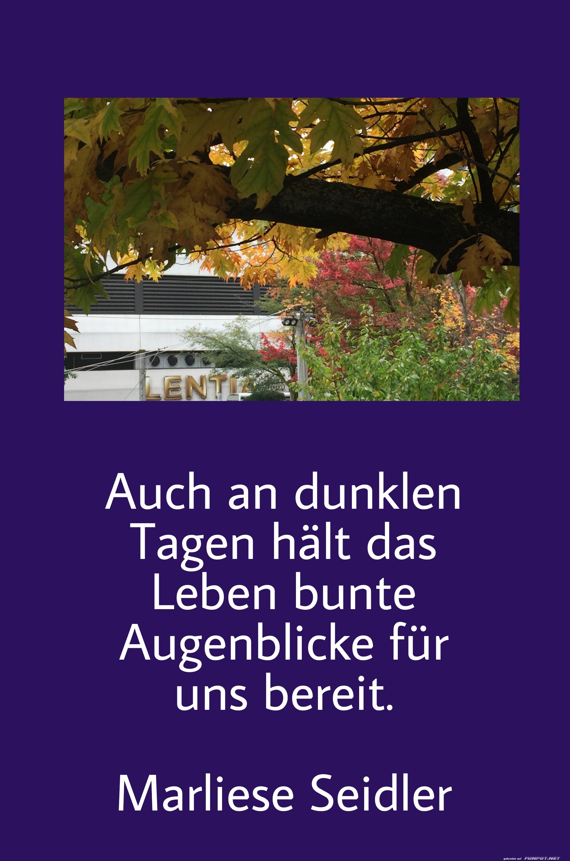 10 schne Sprche und Lebensweisheiten aus...