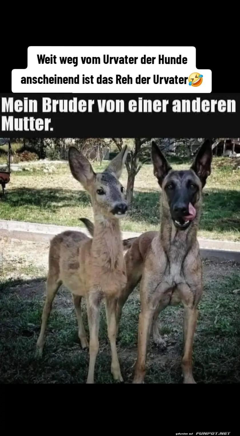 Mein Bruder