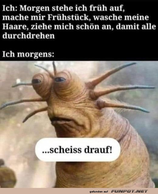 Ich morgens