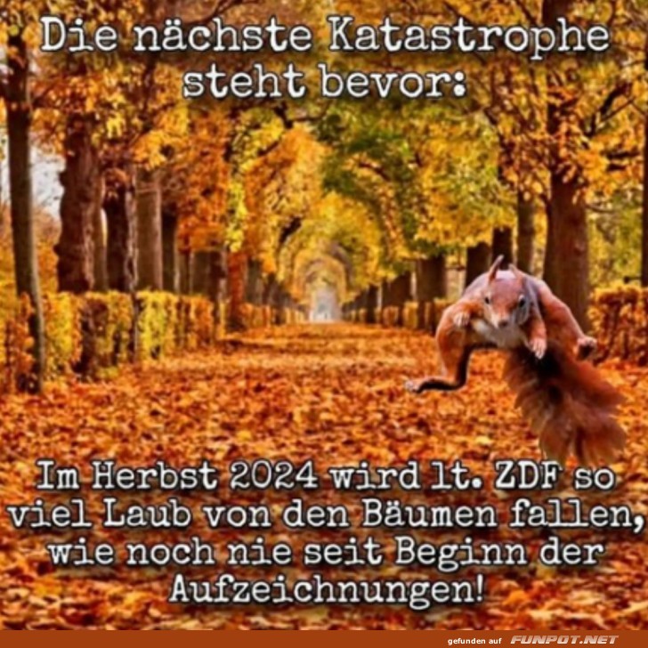 Die nchste Katastrophe