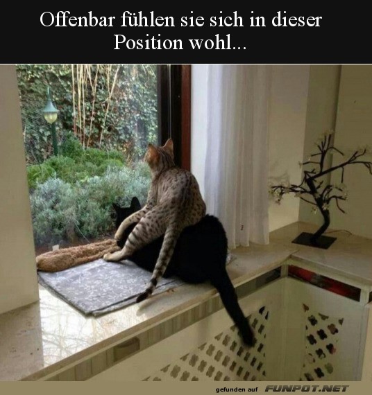 Scheint bequem zu sein