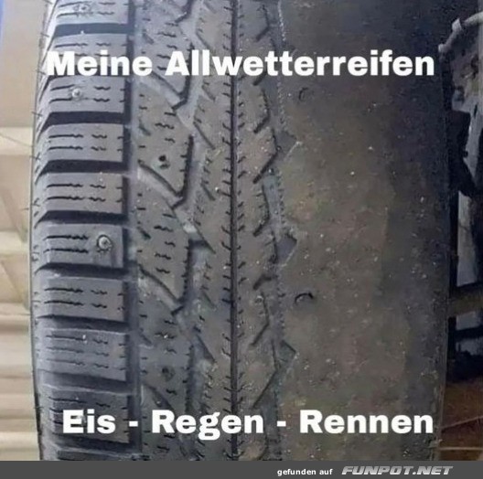 Allwetterreifen