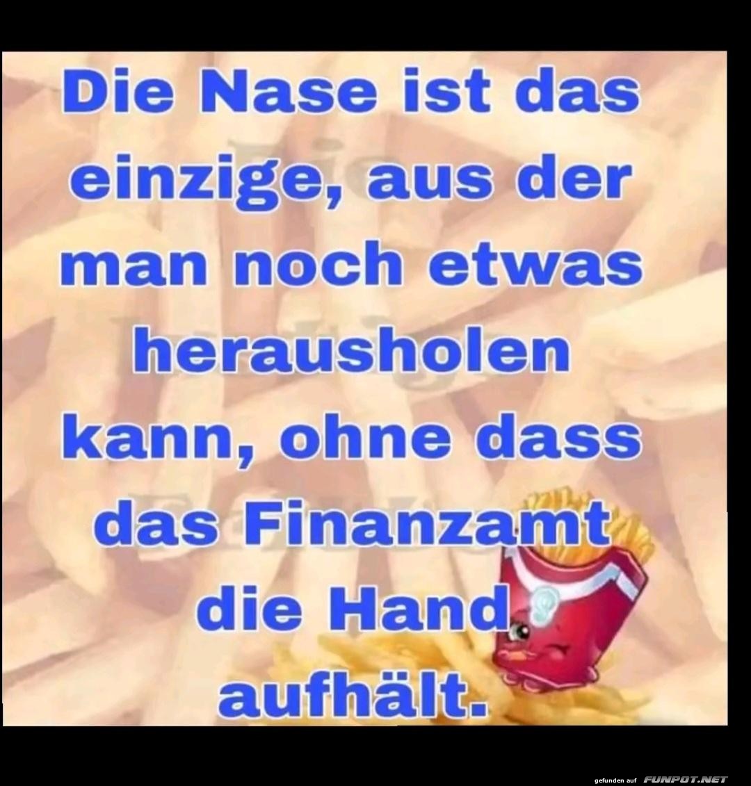 Die Nase