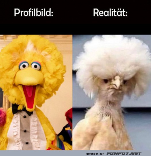 Profilbild vs. Realitt