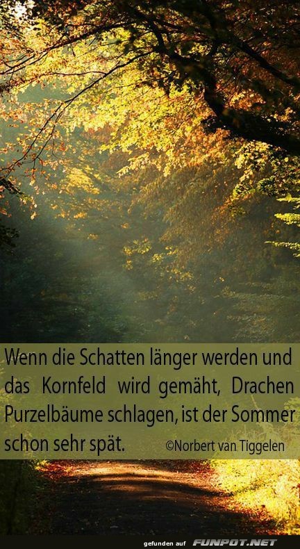 Wenn die Schatten lnger werden