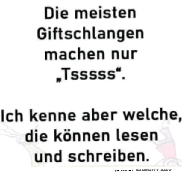 Giftschlangen