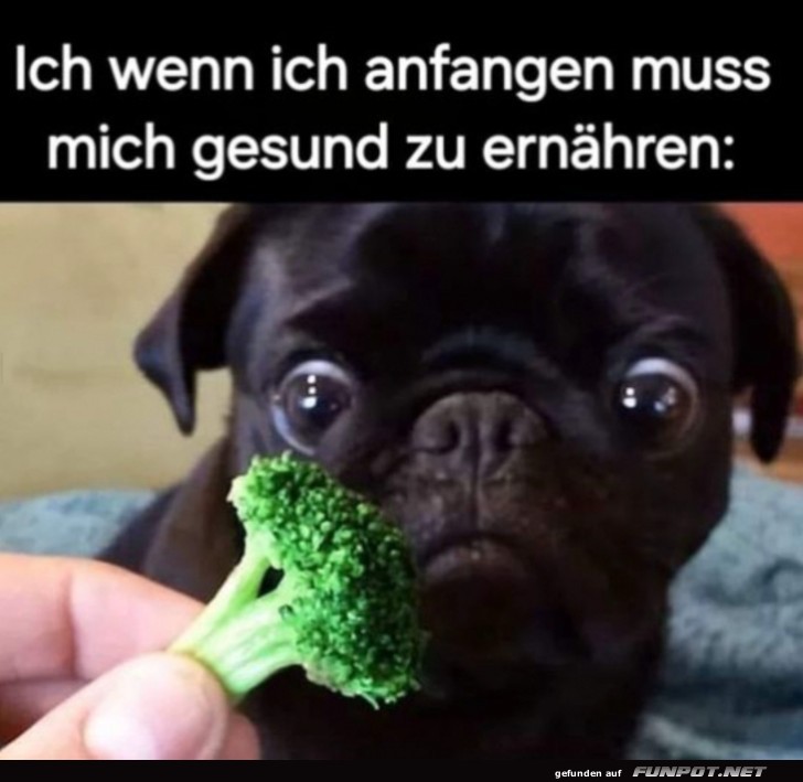 Gesund ernhren