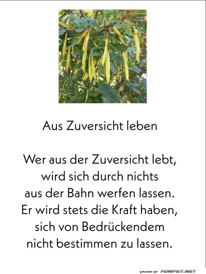 Aus Zuversicht leben