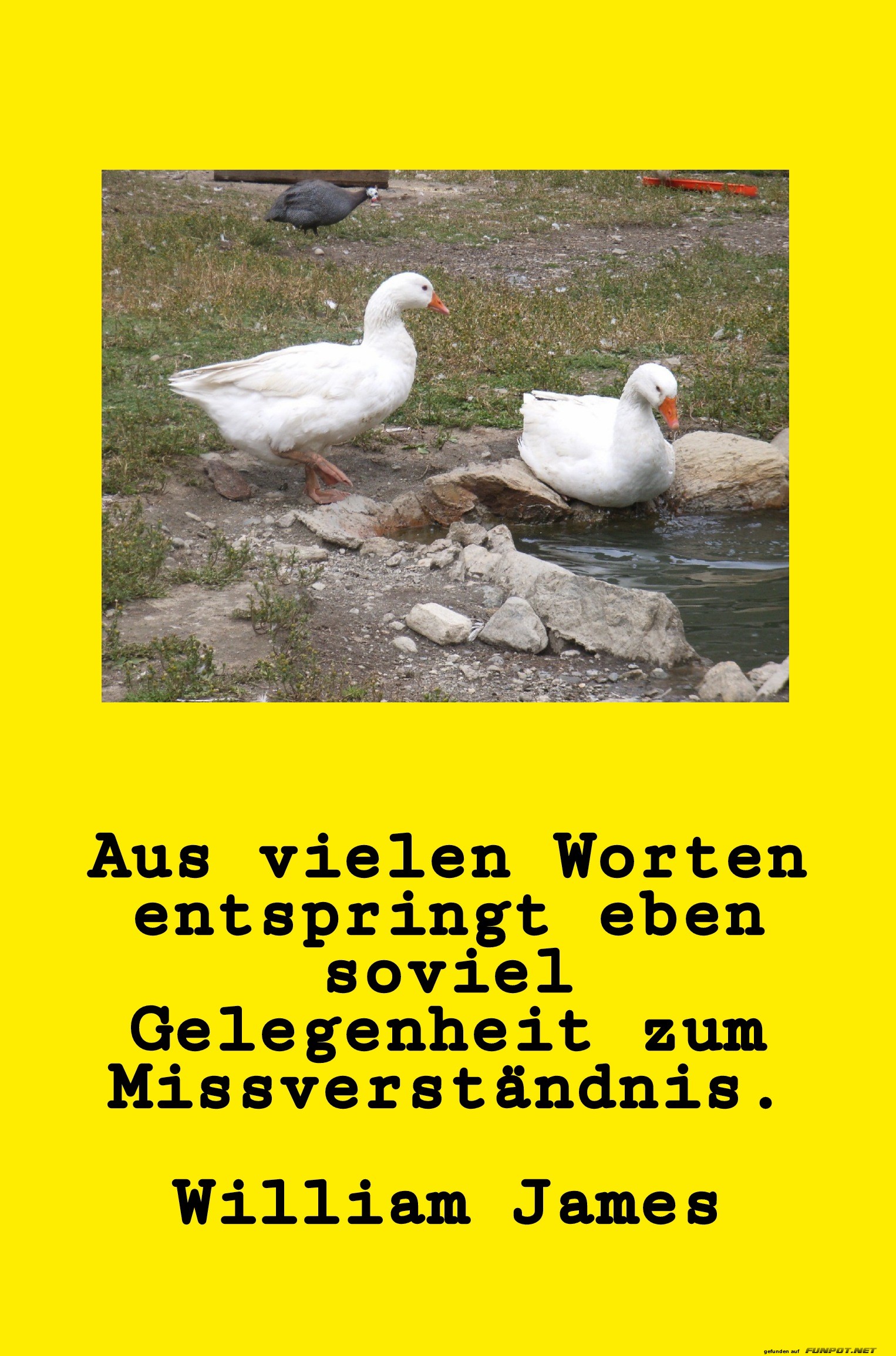 Aus vielen Worten