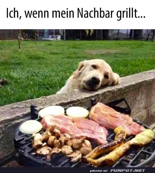 Wenn mein Nachbar grillt