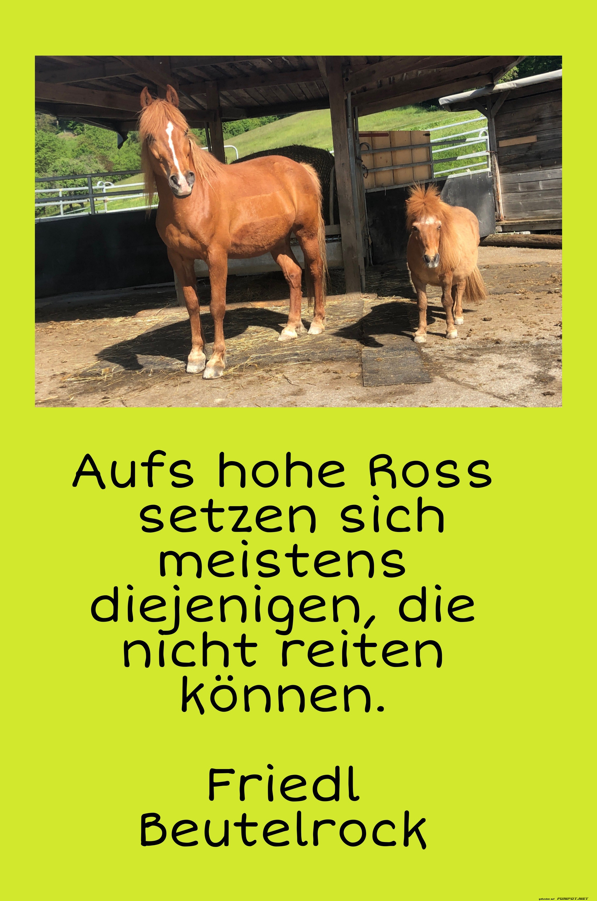 Aufs hohe Ross