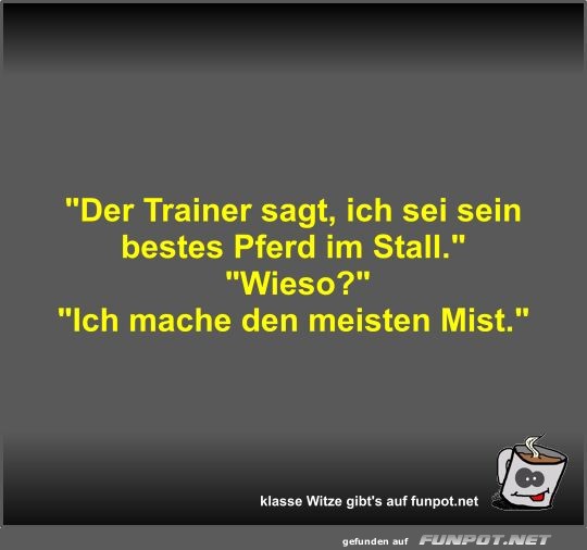 Der Trainer sagt, ich sei sein bestes Pferd im Stall Der Trainer sagt, ich sei sein bestes Pferd im Stall