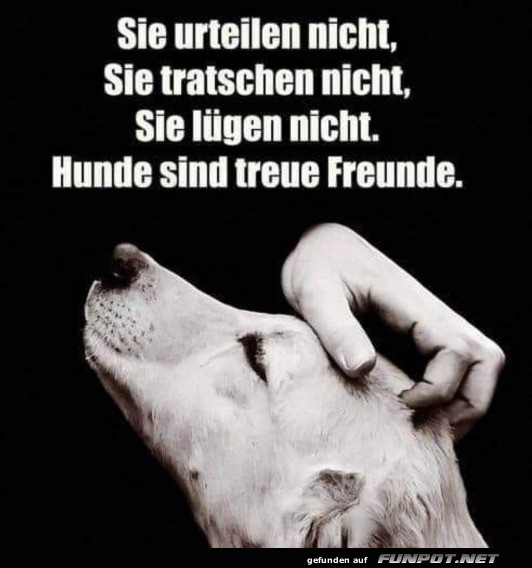 Hunde sind treue Freunde