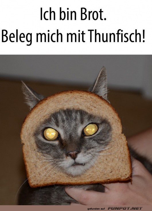 Ich bin ein Brot