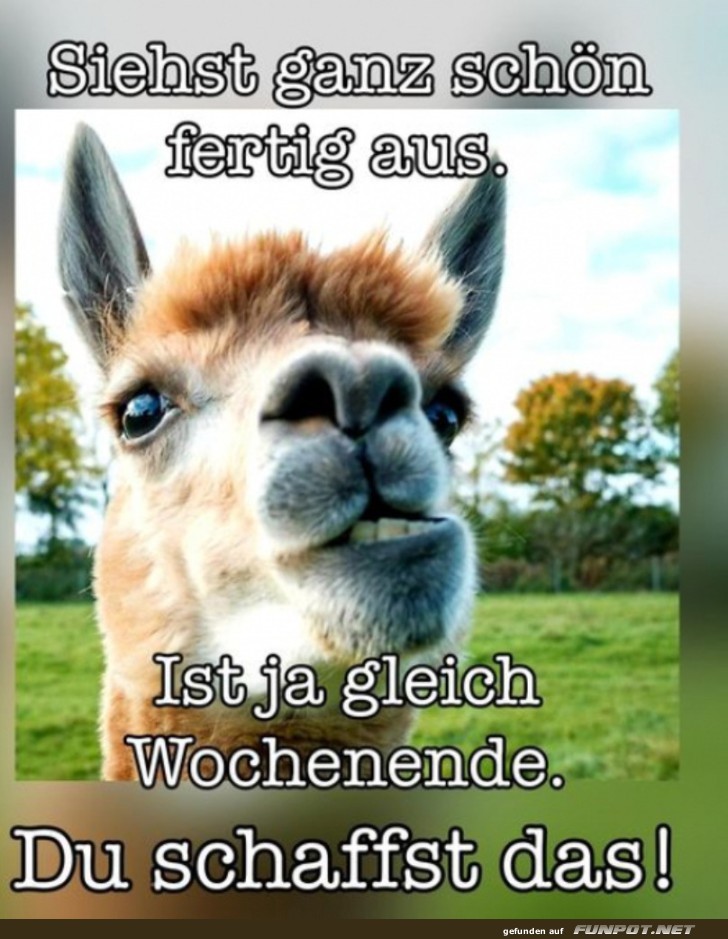 Gleich ist Wochenende