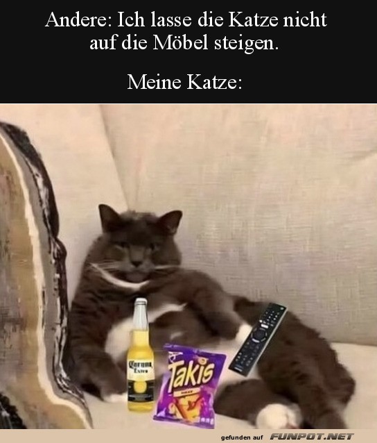 Meine Katze