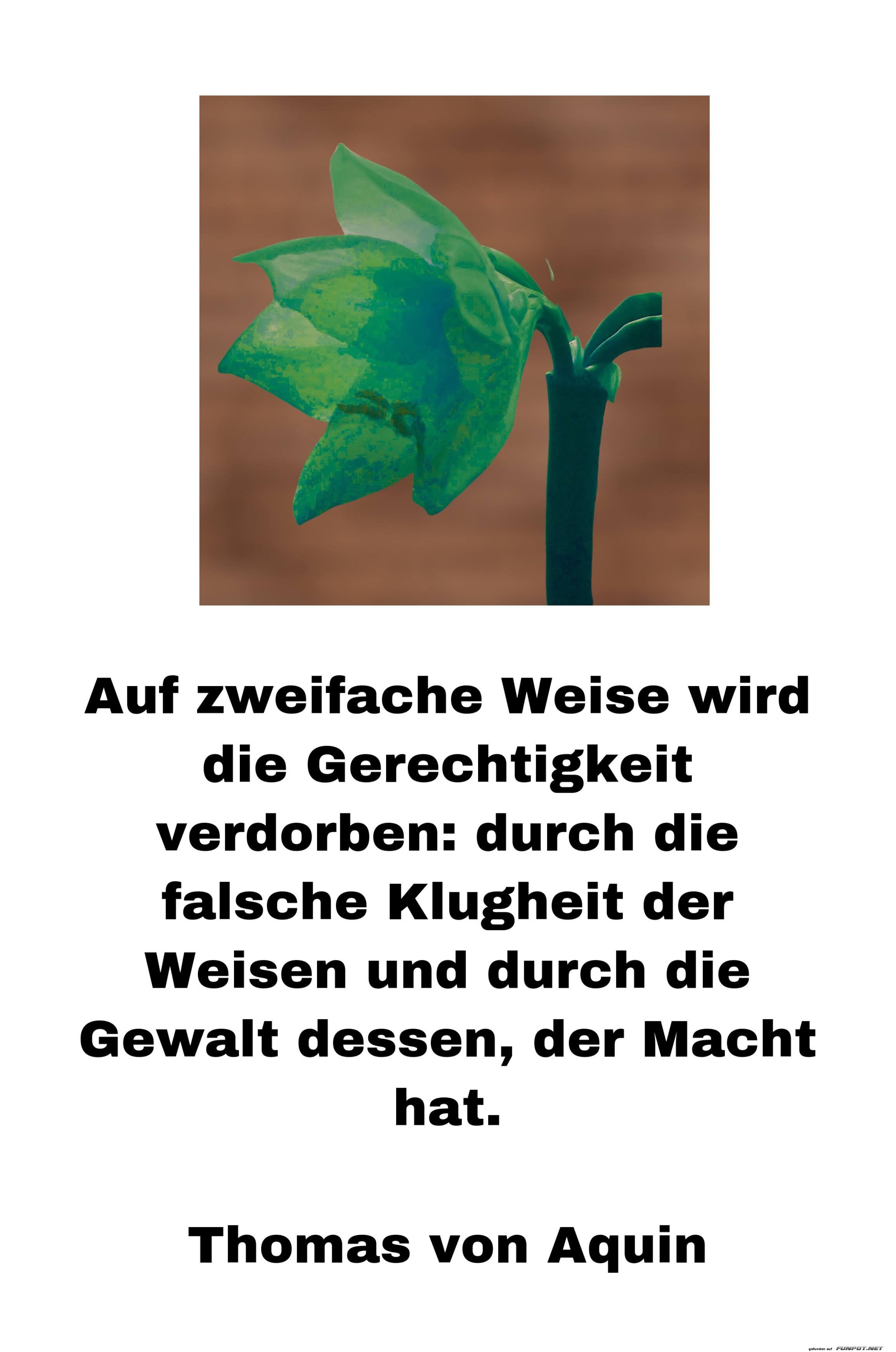 Auf zweifache Weise