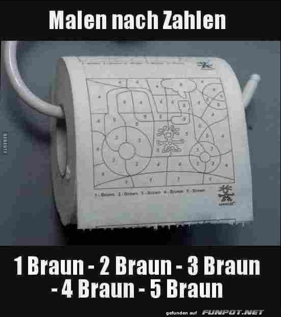 Braun Braun