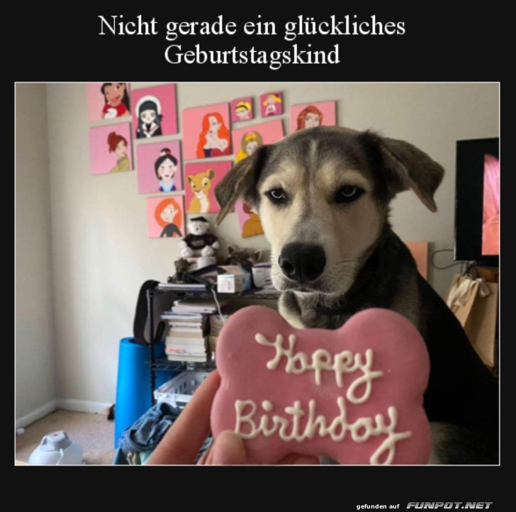 Glckliches Geburtstagskind
