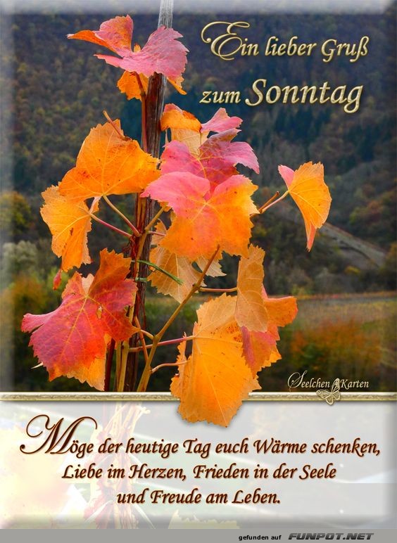 Möge der heutige Tag Wärme schenken 1 Möge der heutige Tag Wärme schenken 1