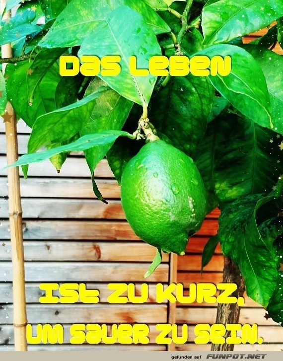 Das Leben