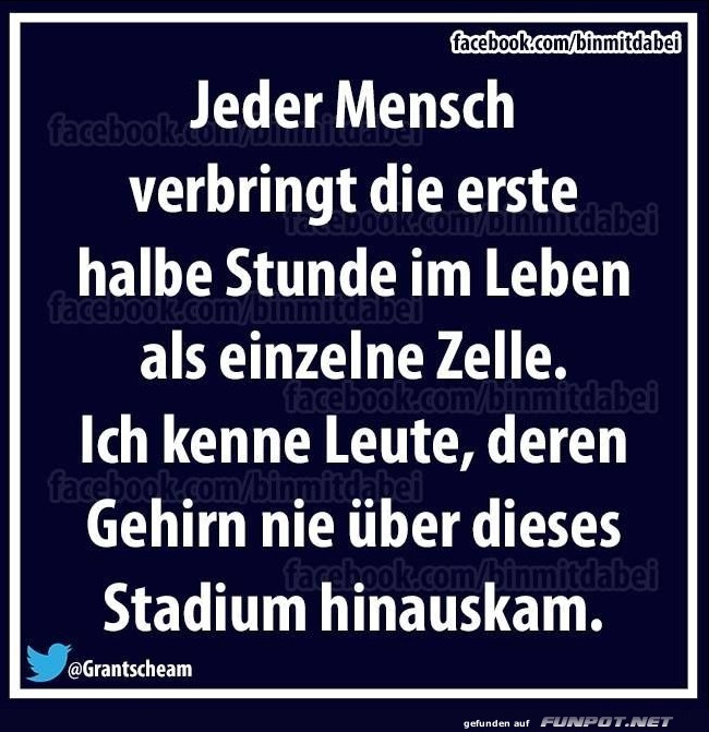 Jeder Mensch