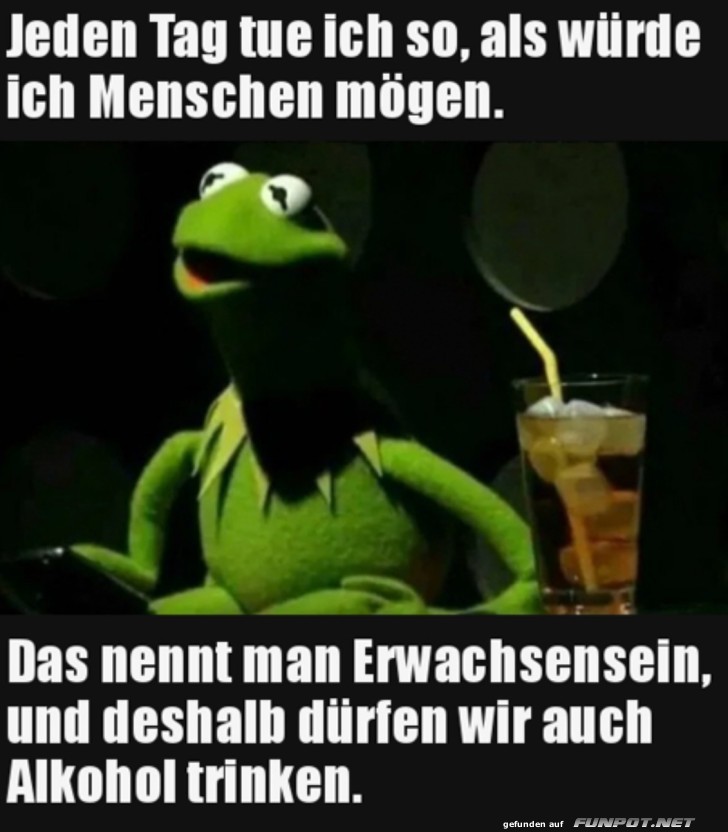 Erwachsensein Erwachsensein