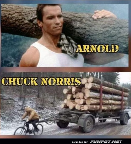 ARNOLD - CHUCK NORRIS