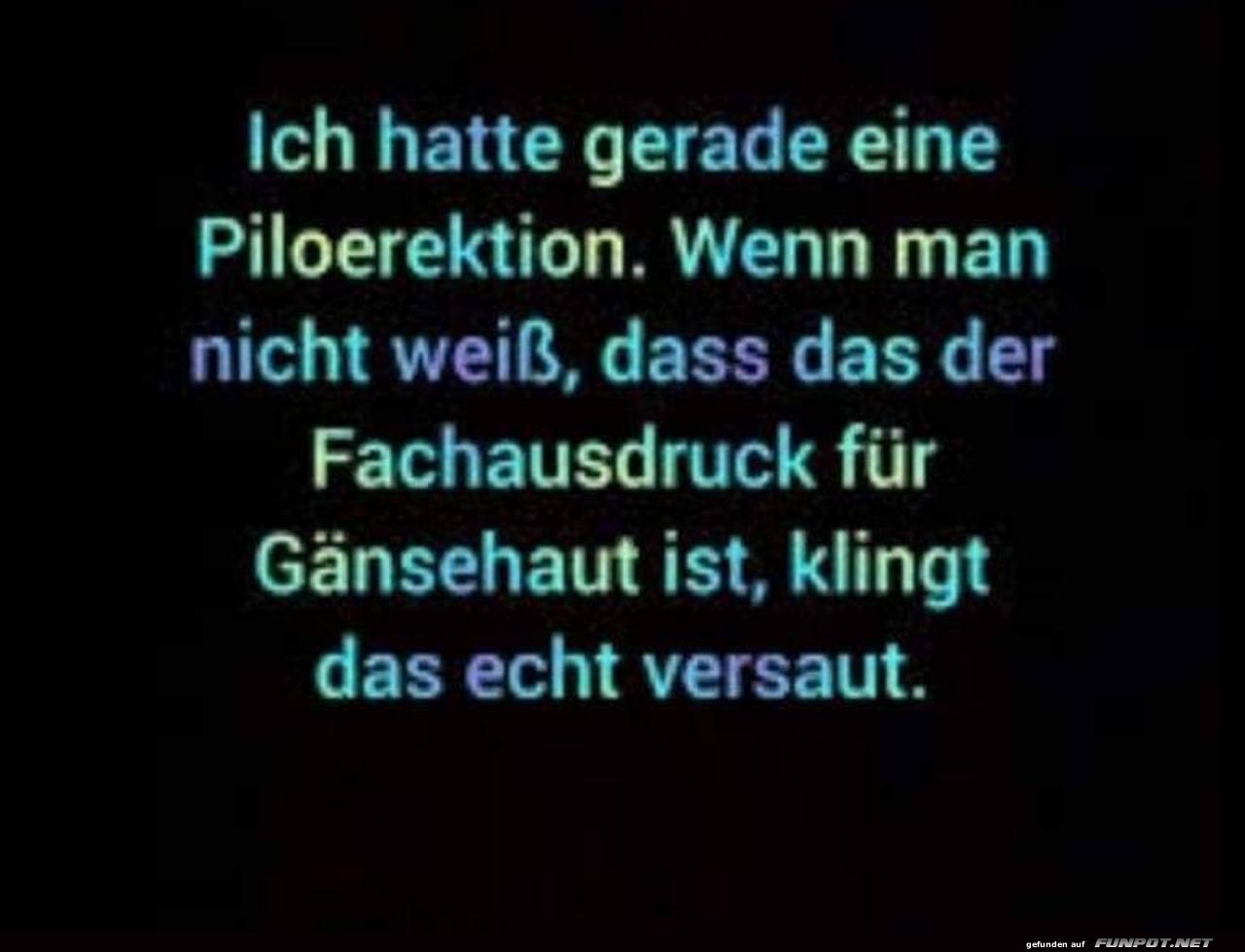 Eine Piloerektion