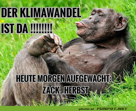 Der Klimawandel ist da