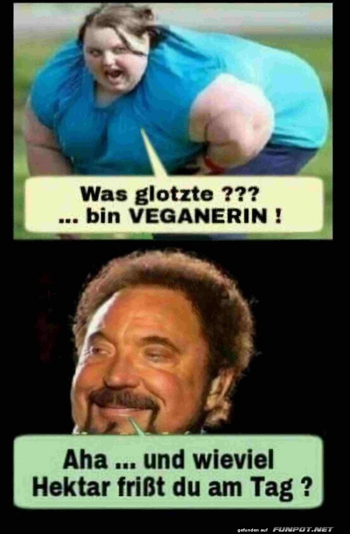 Was glotzte Was glotzte
