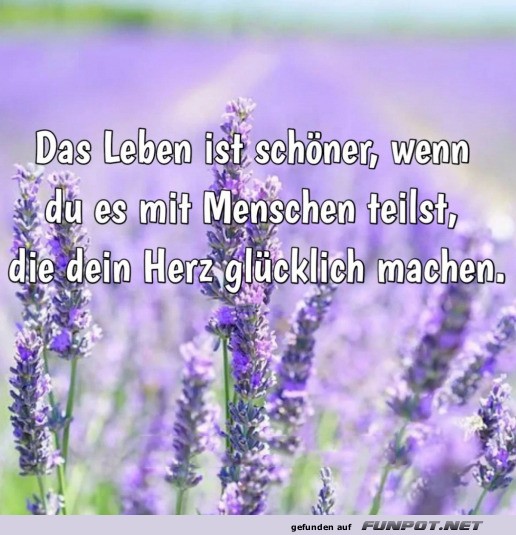 Das Leben ist schner