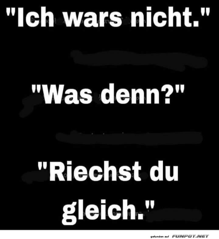 Ich wars nicht