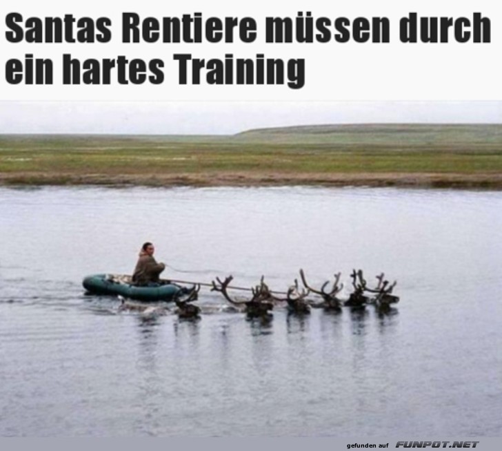 Rentier-Training