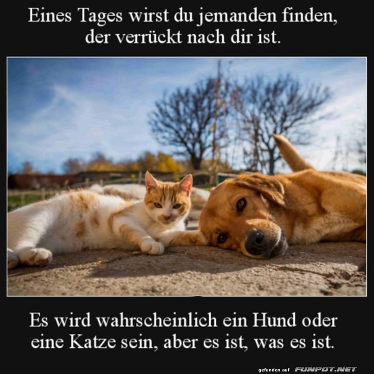 Eines Tages