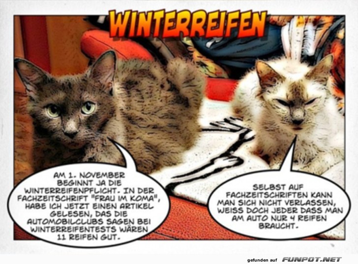 Winterreifen