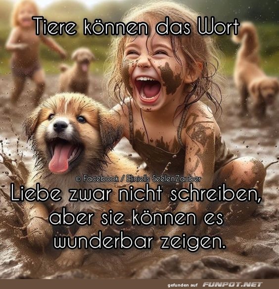 Tiere knnen das Wort