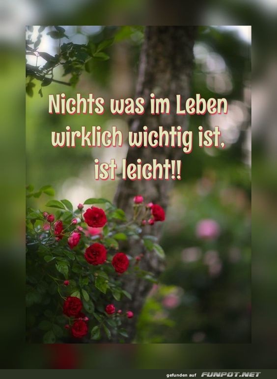 Nichts was im Leben wichtig ist