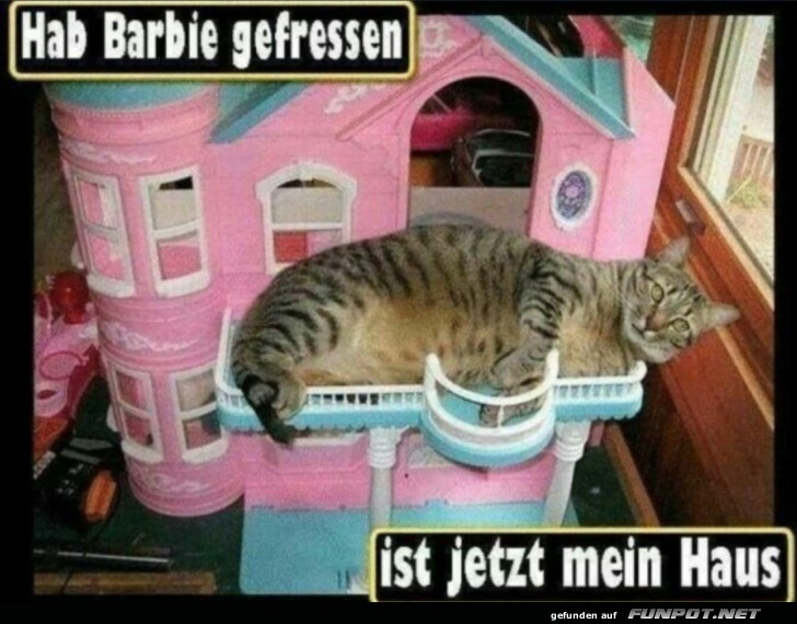 Ist jetzt mein Haus