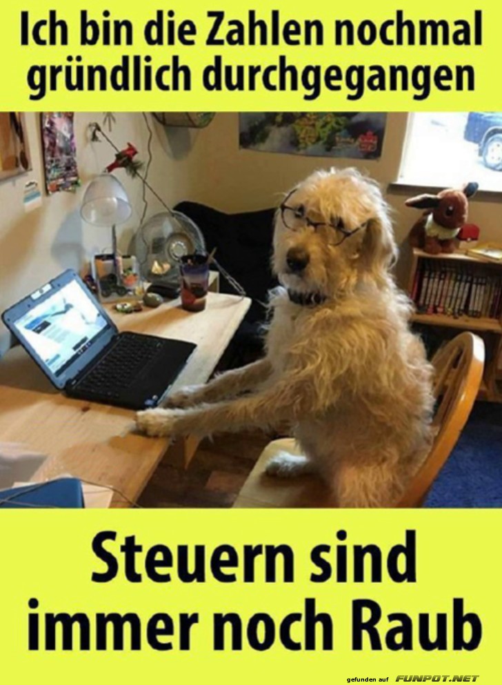 Steuern