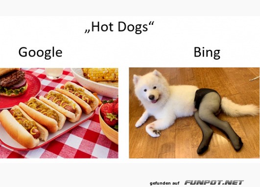 Hot Dog