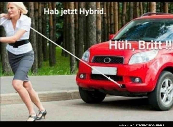 Ein Hybrid