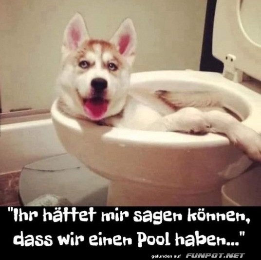 Toller Pool