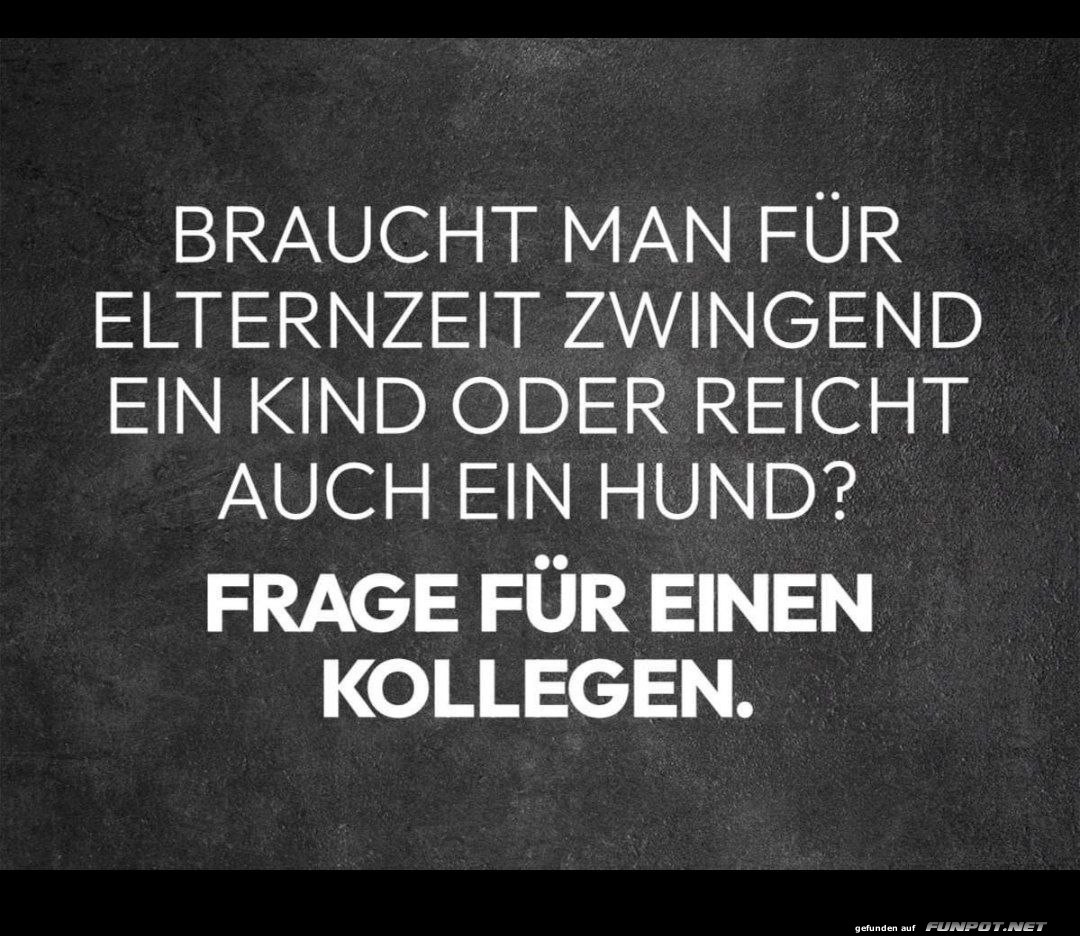 Gute Frage