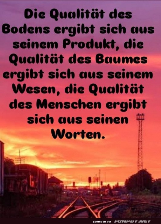 Worte