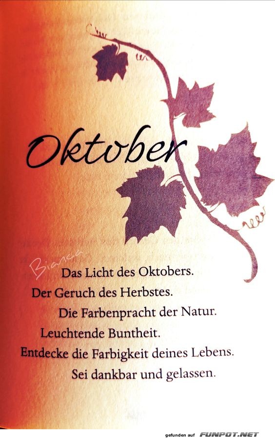 Das Licht im Oktober