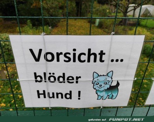 Blder Hund