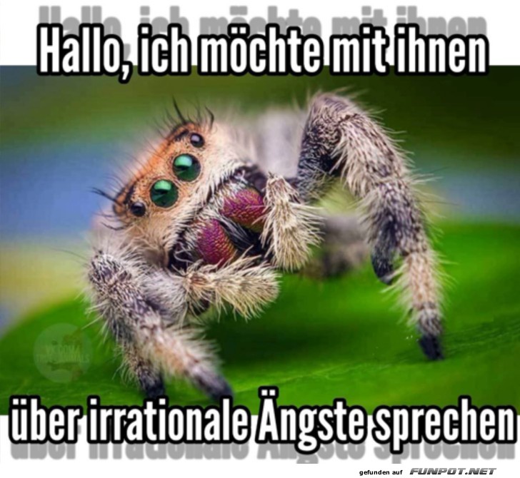 Hallo